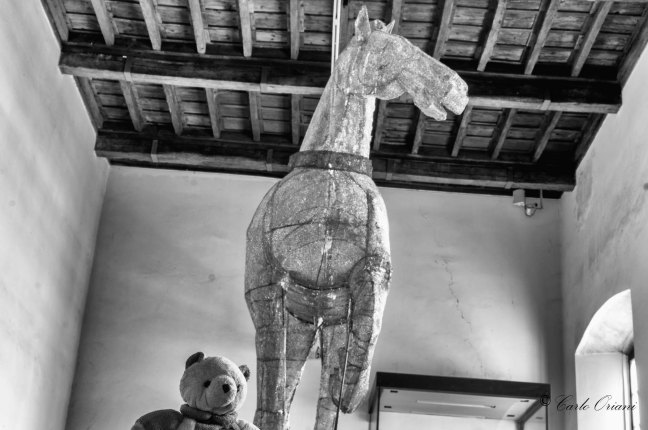 _DSC7119-Modifica-Modifica