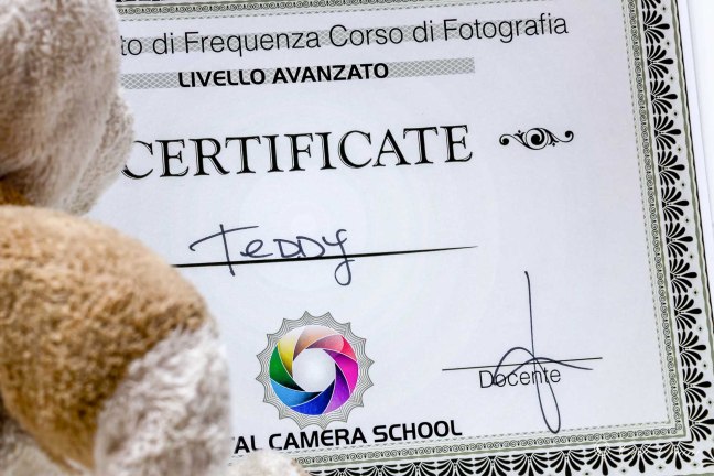 _DSC7379-Modifica-Modifica