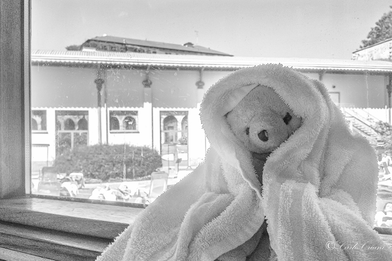 Teddy alla SPA