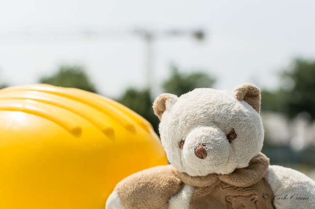 Teddy in cantiere.jpg