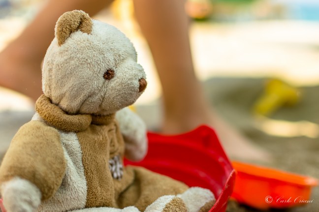 Teddy in spiaggia